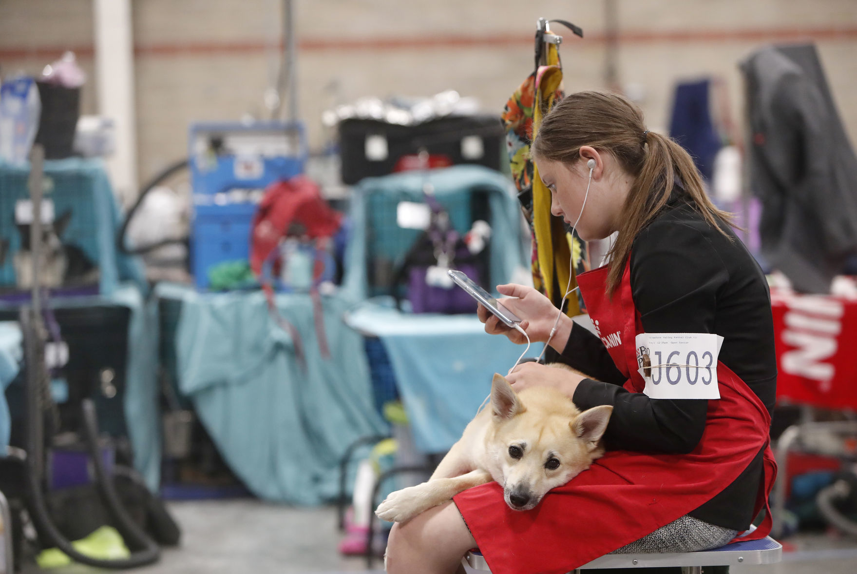 Yellowstone Valley Kennel Club All Breed Dog Show